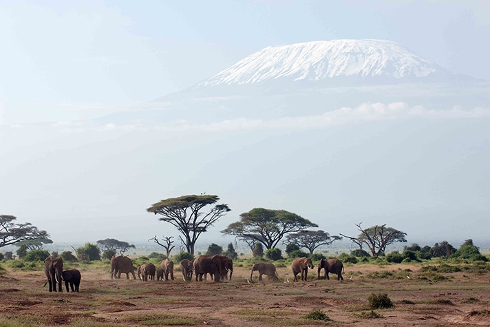 day-1-arrival-nairobi-and-your-safari-begins