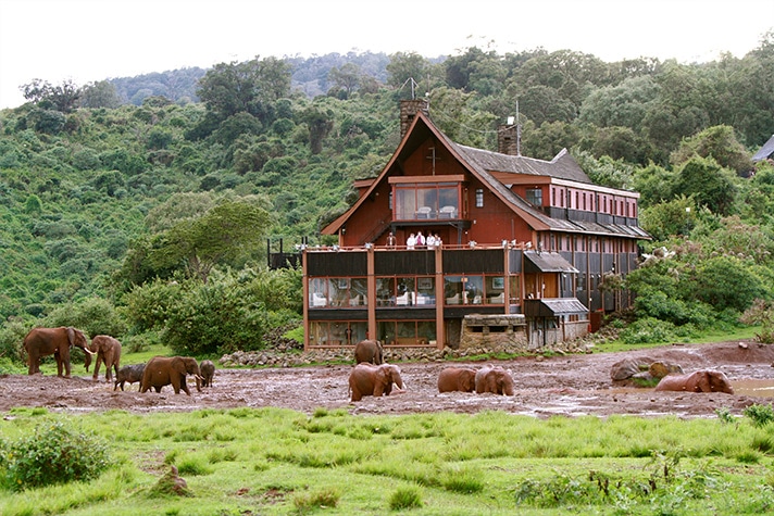 day-1-the-slopes-of-mount-kenya