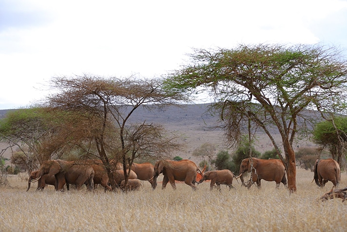 day-3-into-the-taita-hills