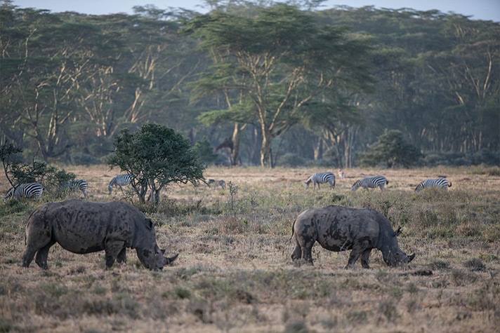 day-4-to-lake-nakuru