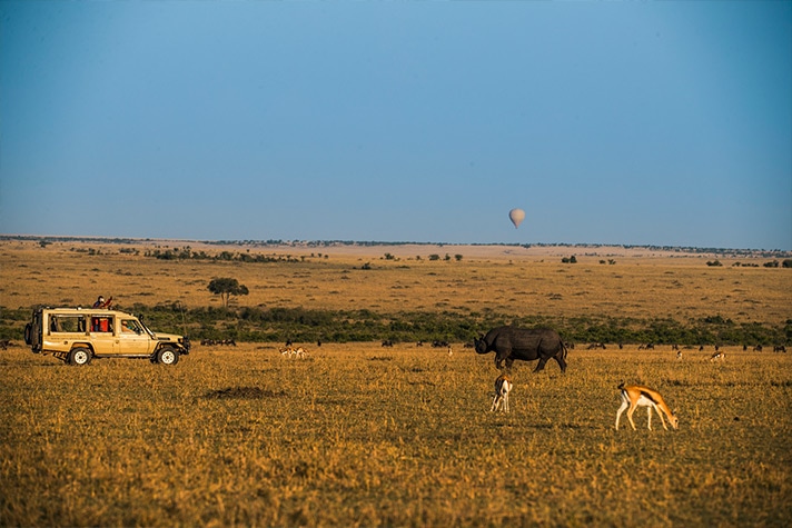 day-6-on-safari-in-the-mara