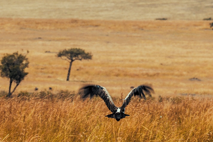 day-7-up-the-rift-valley-to-nairobi