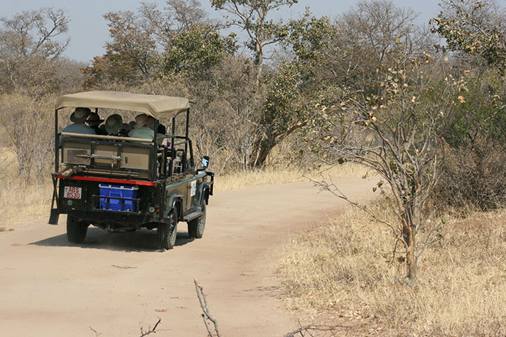 img-itinerary-african-day-6-on-safari