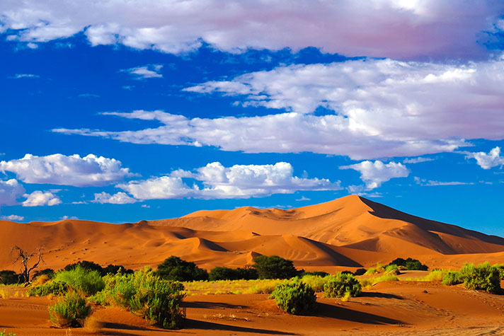 img-itinerary-african-day-9-sand-dunes-namib