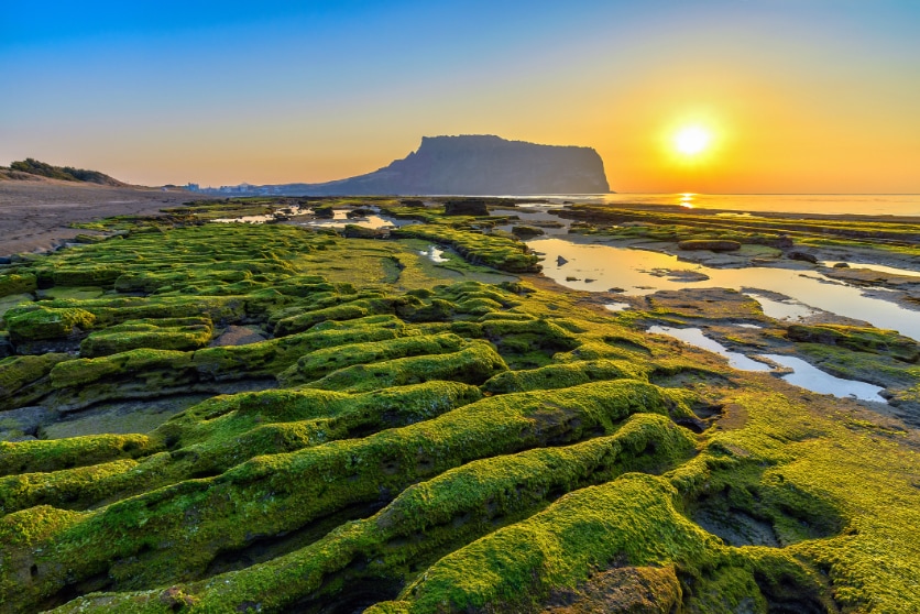 img-blog-korea-jeju-seongsan-sunrise-park-1