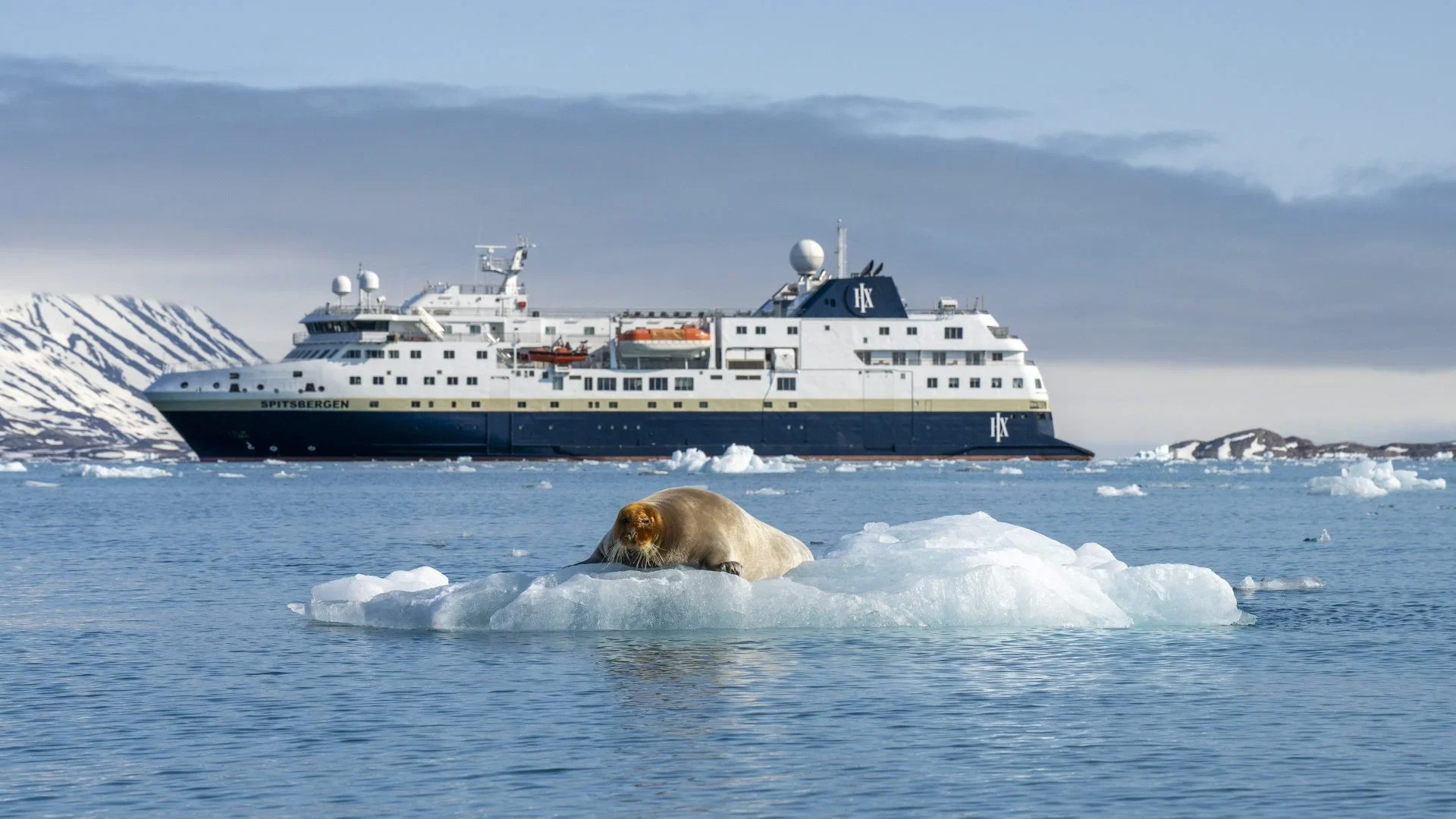 MS_Spitsbergen_-_20250620-Monacobreen-Mushamna-and-Moffen-DSC05994-byTimoHeinz