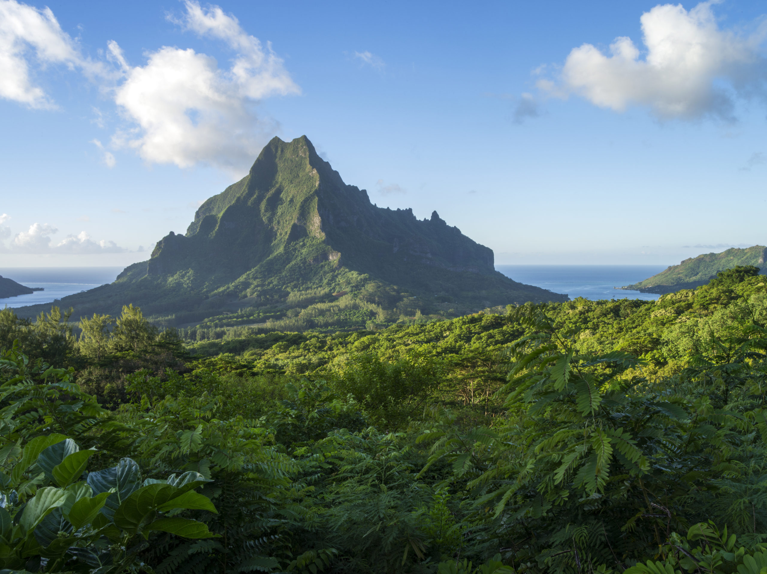 p2_08_moorea_tahiti_023_dk_2017_-david-kirkland-2