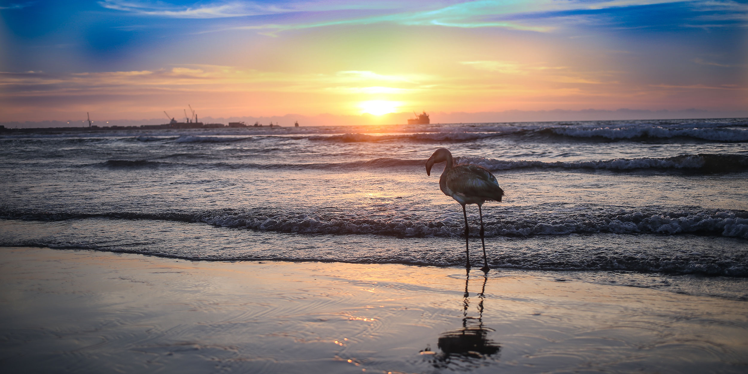 day-5_arica-arica-beach_shutterstock