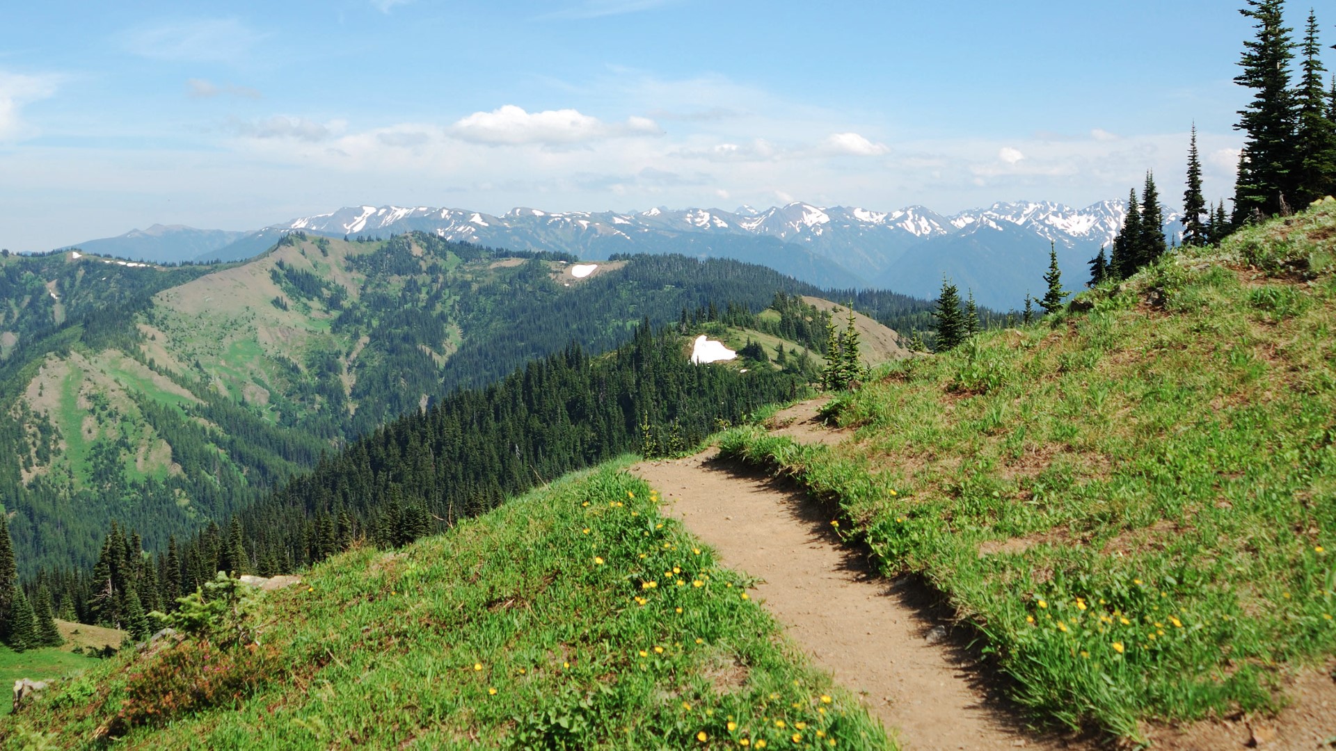 day-8_hurricane-ridge_olympic-national-park_hiking-trail_shutterstock_39211195