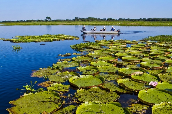 img-gallery-travel-brazilian-amazon-03