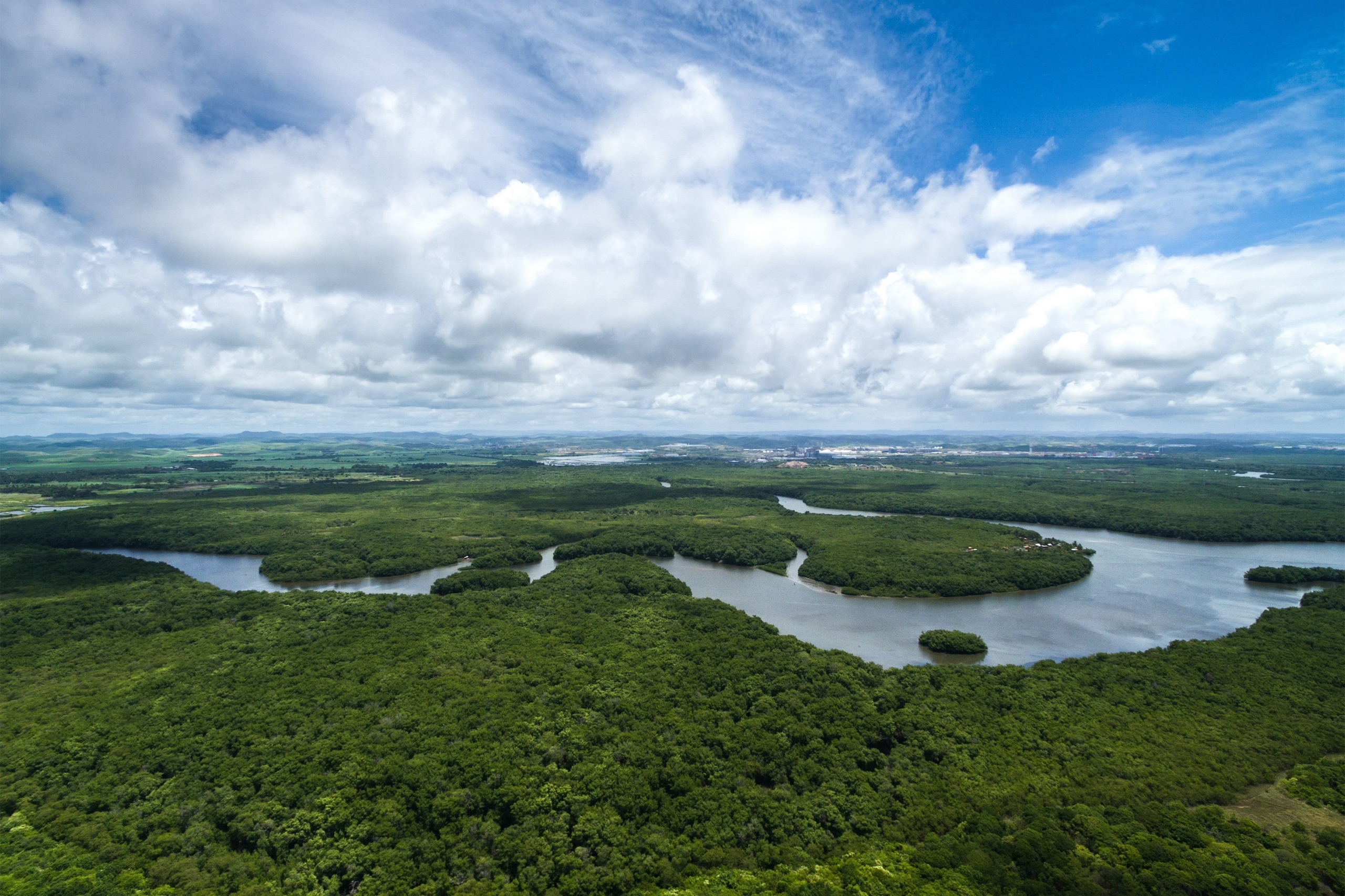 img-s3-gallery-brazilian-amazon-01