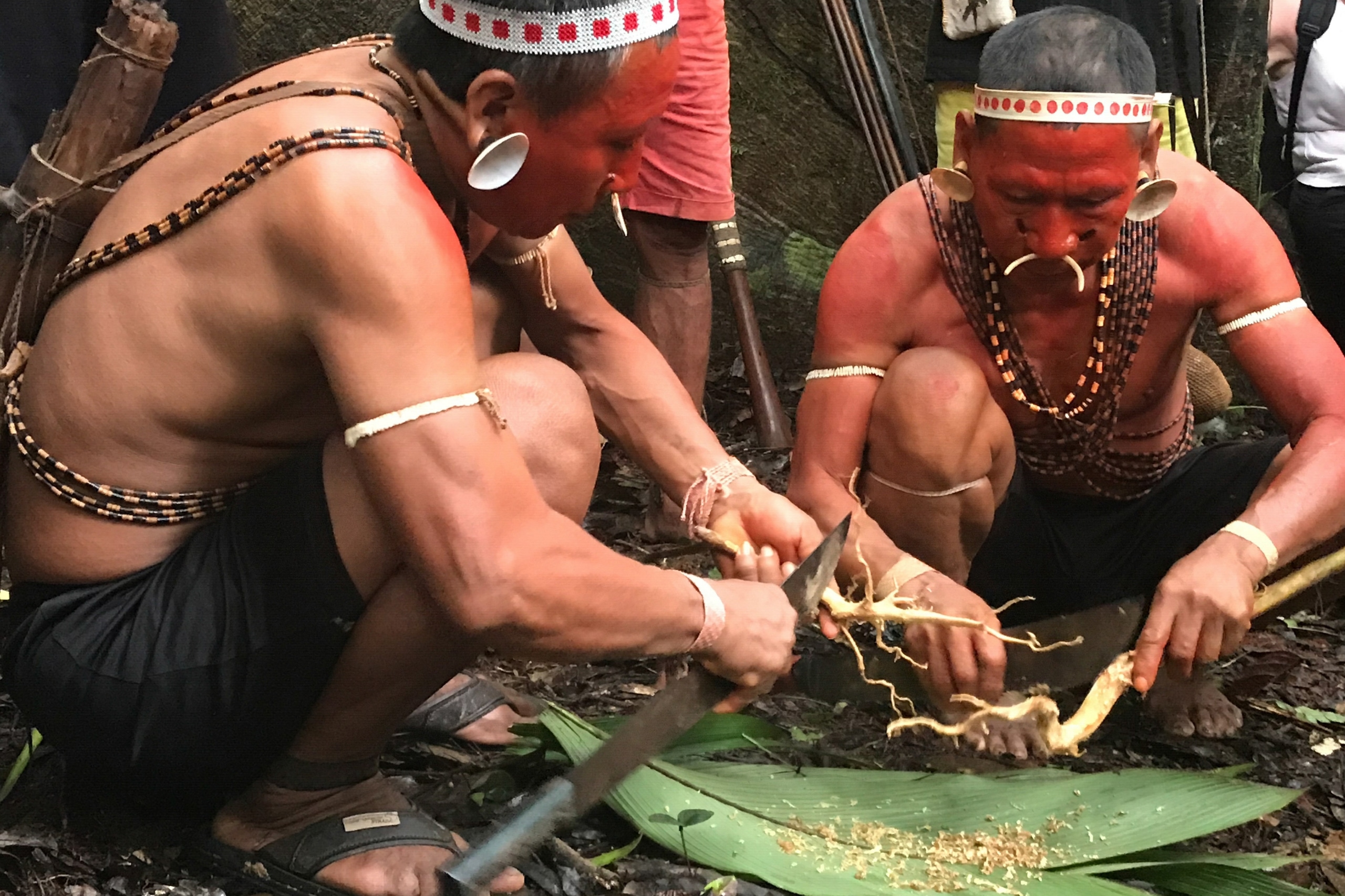 img-s3-gallery-brazilian-amazon-02