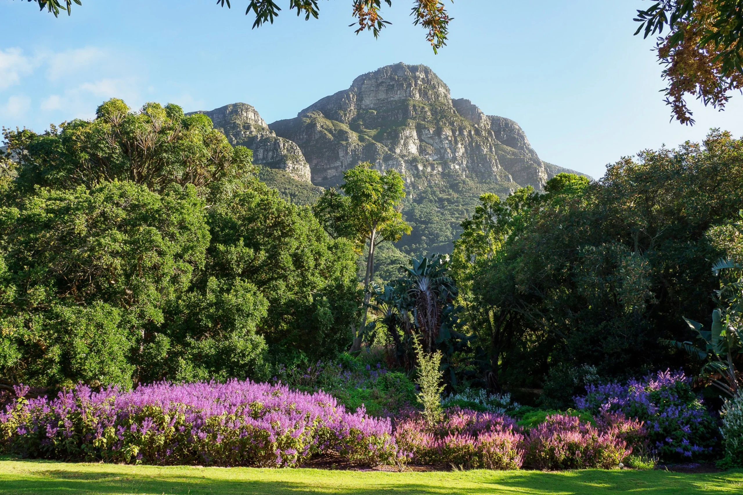 img-s3-gallery-cape-town-02