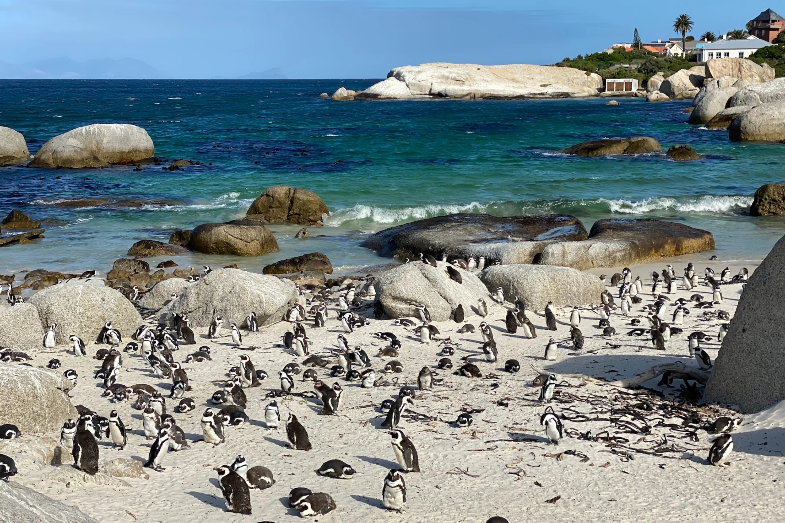 img-s3-gallery-cape-town-05