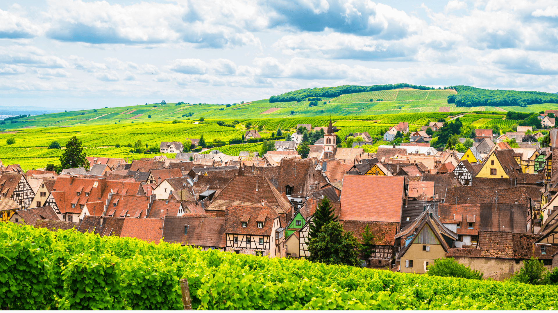 riquewihr-france-1