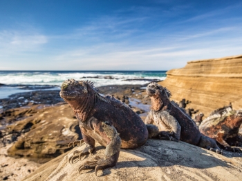 Ecuador and Galapagos