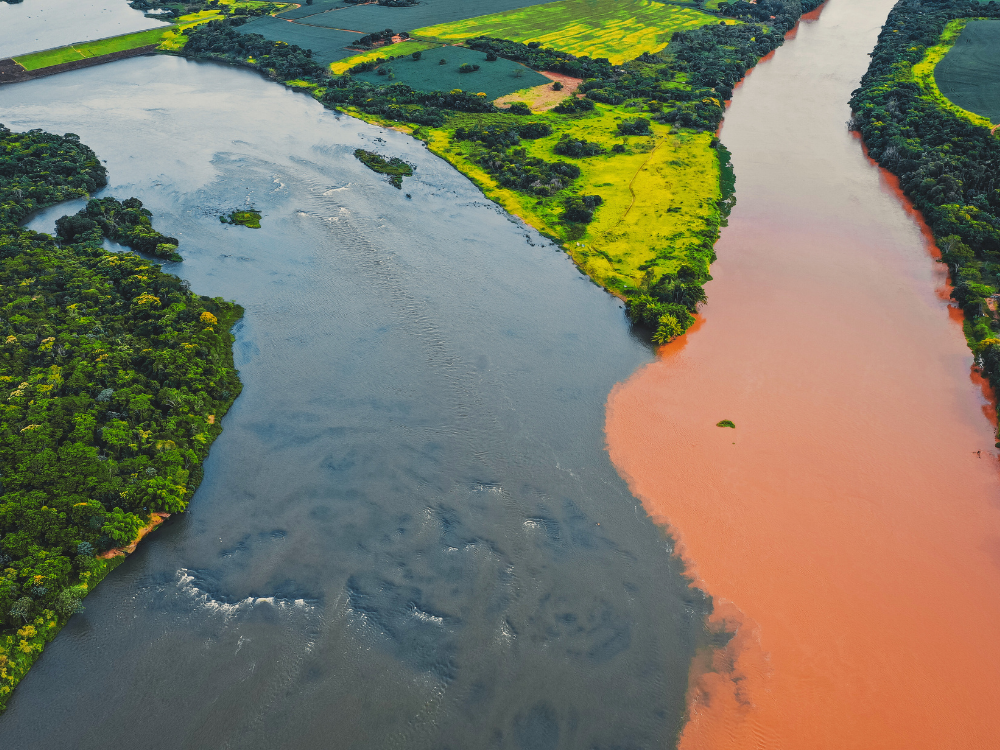 Brazilian Amazon Adventure 2026
