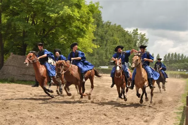 csm_lueftner_cruises_amadeus_hungary_puszta_horses__c_20120710120711alcekdirertapanyaaags_26b415487a
