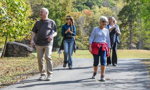 Travellers enjoying a relaxed, leisurely-paced sightseeing walk