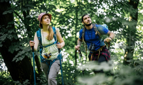 Travellers hiking a vigorous, challenging trail
