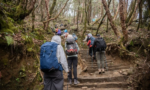 Travellers on a robust high-altitude trekking adventure
